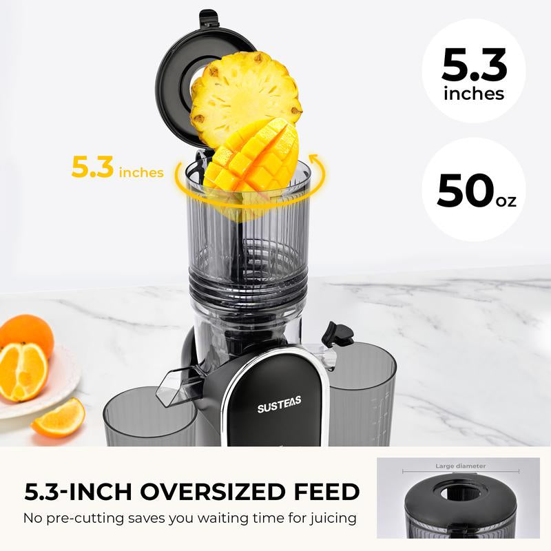SUSTEAS Cold Press Juicer, 5.3 Inch Large Feed Opening, Slow Masticator Chute, for Whole Vegetables and Fruits, High Yield, Easy to Clean Springtok Steel - Roots & Wings Home Goods